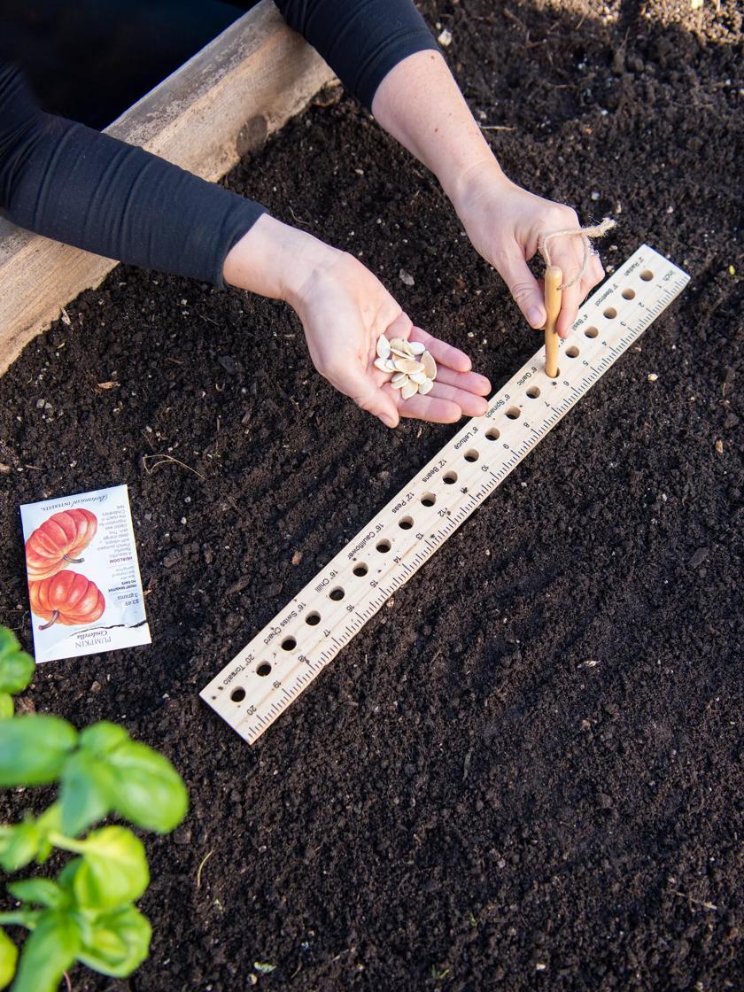 Trowels & Planting Tools |   Intervale Seed and Plant Spacing Ruler GARDEN SUPPLIES Trowels & Planting Tools