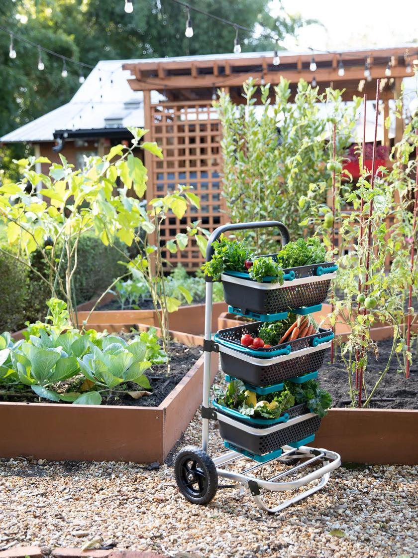 Trugs & Harvest Baskets |   Mod Hod Trolley with Teal Mod Hods GARDEN SUPPLIES Trugs & Harvest Baskets