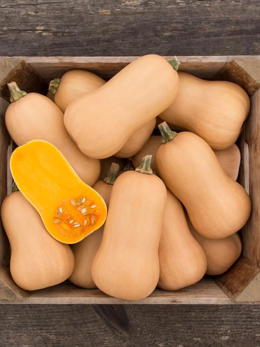 Vegetable Seeds |   Brulee Butternut Squash Organic Seeds GARDEN SUPPLIES Vegetable Seeds