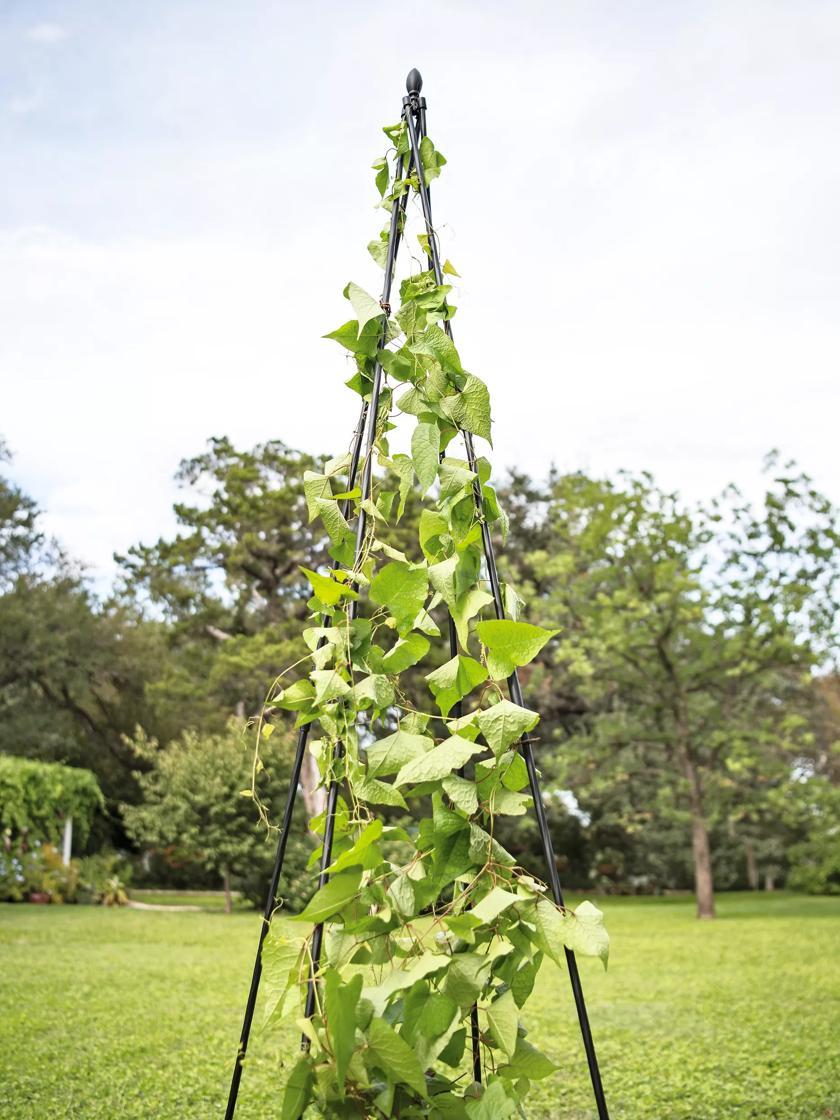 Vegetable Supports & Trellises |   Titan Teepee Trellis GARDEN SUPPLIES Vegetable Supports & Trellises