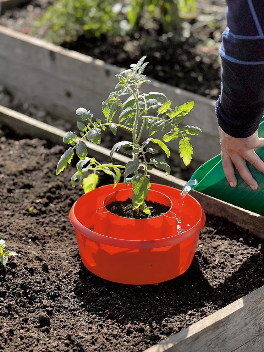 Vegetable Supports & Trellises |   Tomato Halos, Set of 3 GARDEN SUPPLIES Vegetable Supports & Trellises