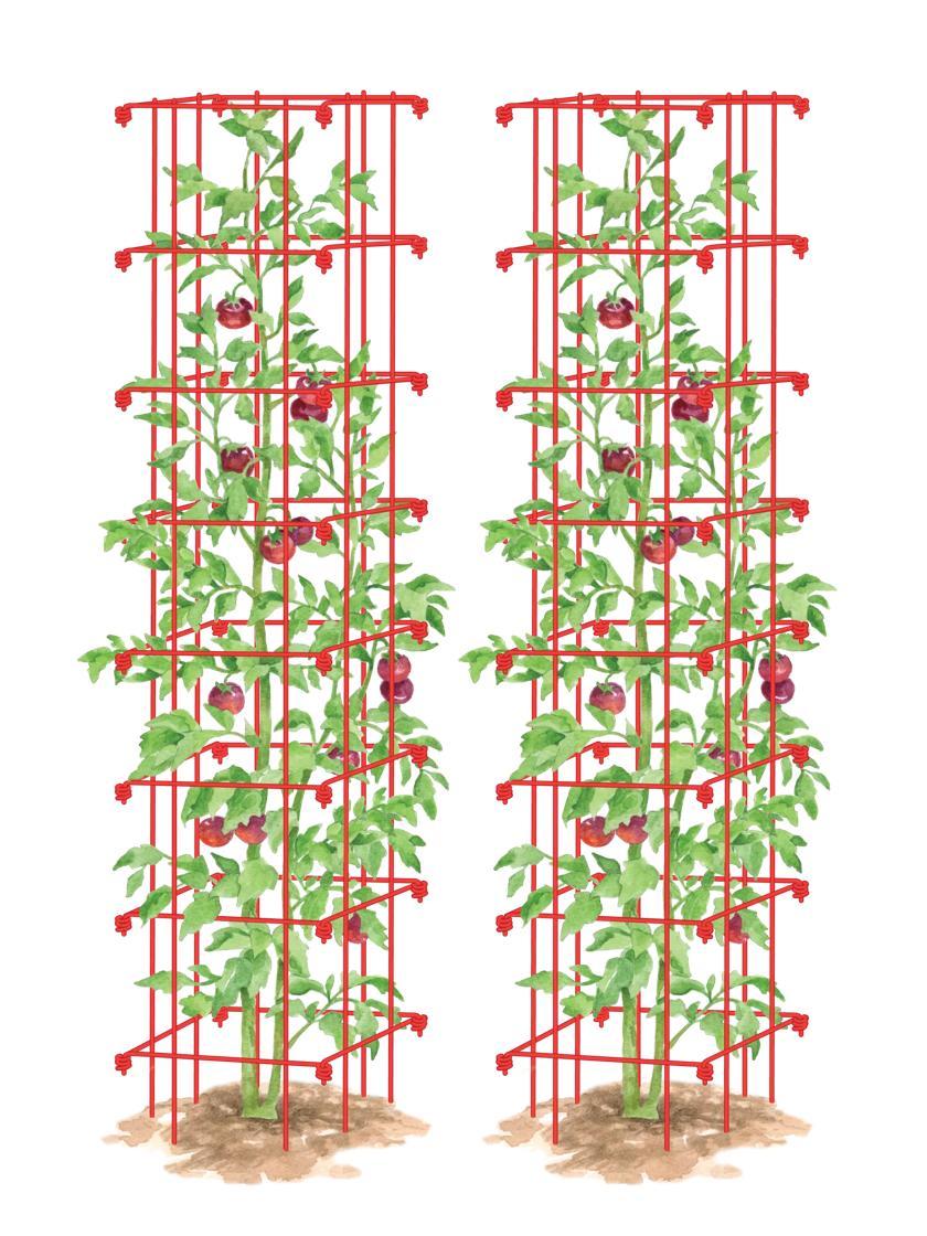 Vegetable Supports & Trellises |   Tomato Towers, Set of 2 GARDEN SUPPLIES Vegetable Supports & Trellises