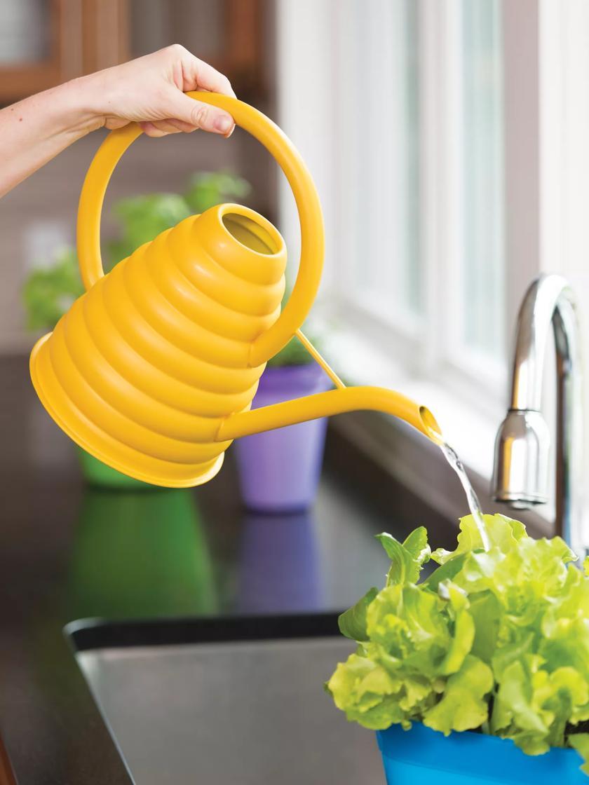 Watering Cans |   Bee Skep Watering Can GARDEN SUPPLIES Watering Cans