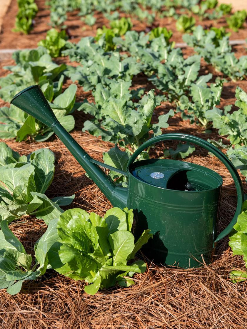 Watering Cans |   Long Reach Watering Can, Large GARDEN SUPPLIES Watering Cans