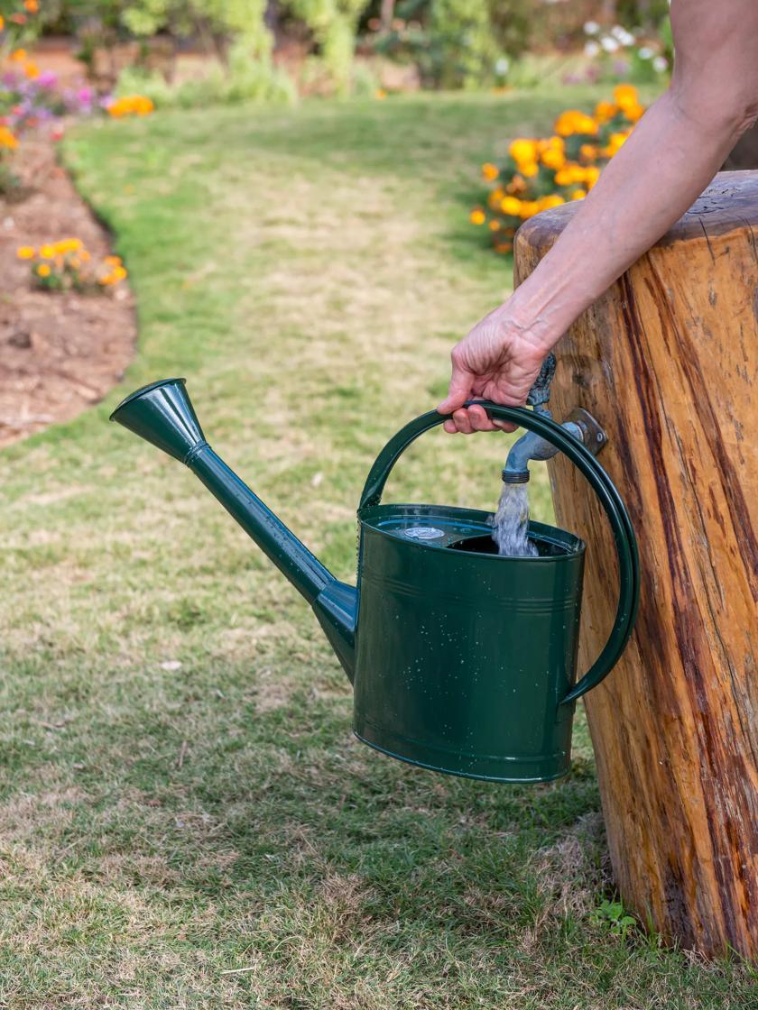 Watering Cans |   Long Reach Watering Can, Medium GARDEN SUPPLIES Watering Cans