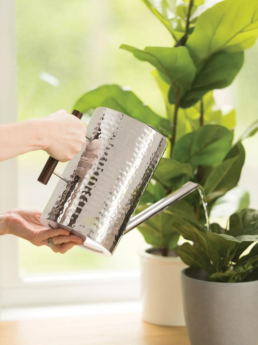 Watering Cans |   Stainless Steel Watering Can GARDEN SUPPLIES Watering Cans