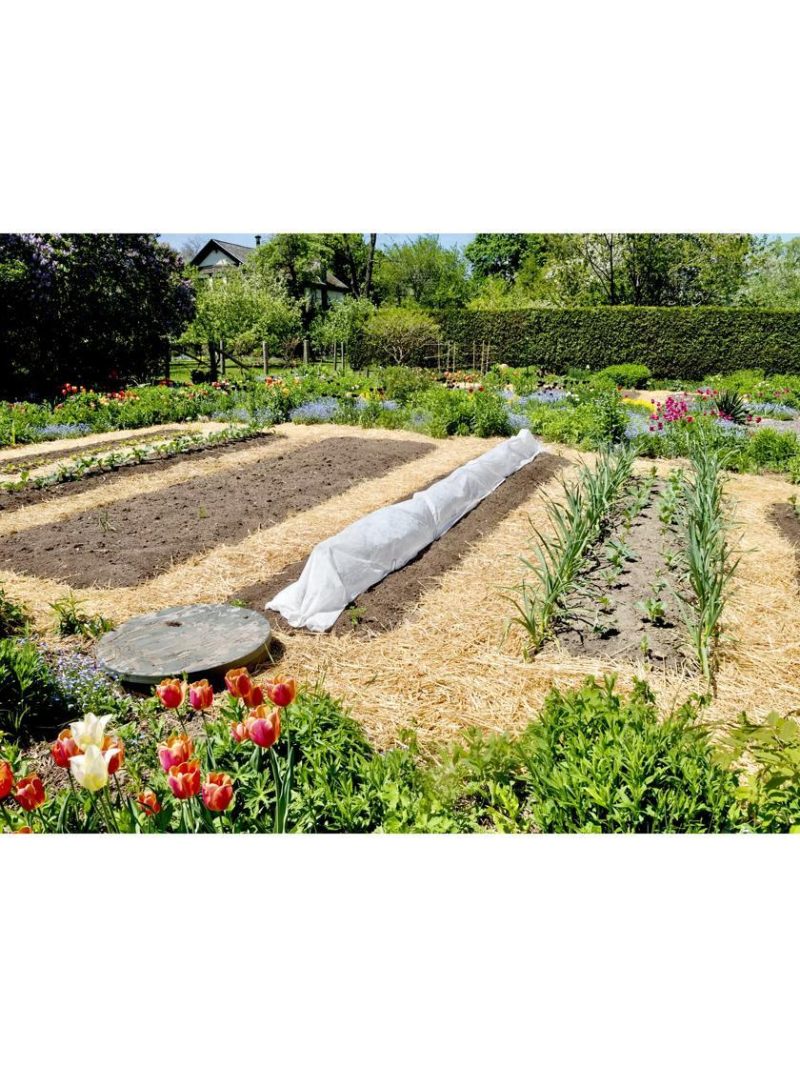 Weed Mats & Mulches |   Organic Seedless Garden Straw PRO+ GARDEN SUPPLIES Weed Mats & Mulches