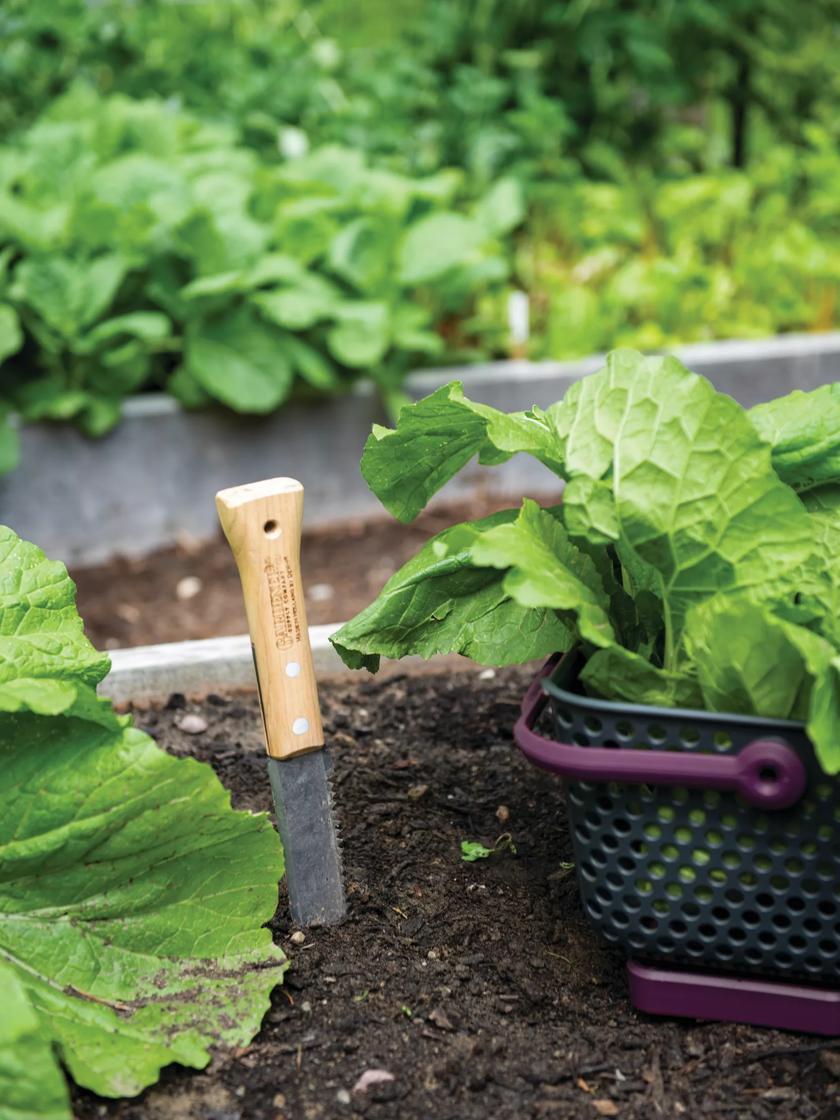 Weeders & Cultivators |   Gardener’s Lifetime Hori Hori Knife GARDEN SUPPLIES Weeders & Cultivators