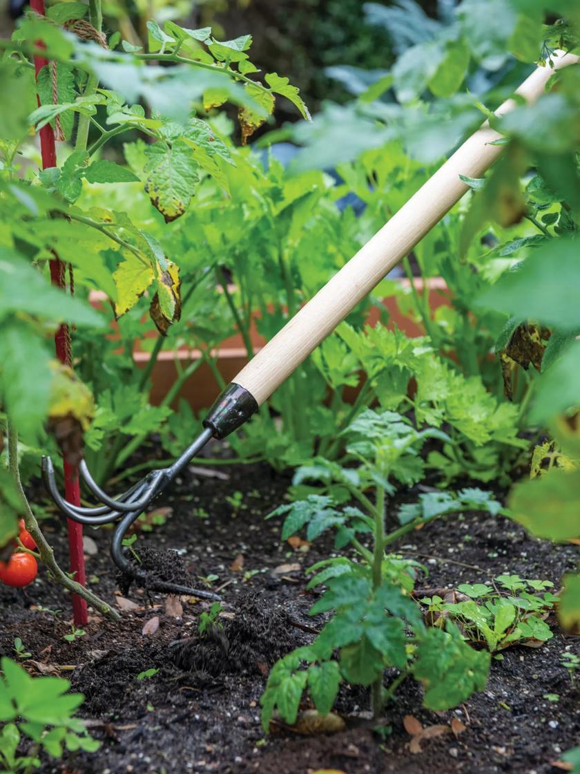 Weeders & Cultivators |   Gardener’s Lifetime Long-Handled Double Tool GARDEN SUPPLIES Weeders & Cultivators