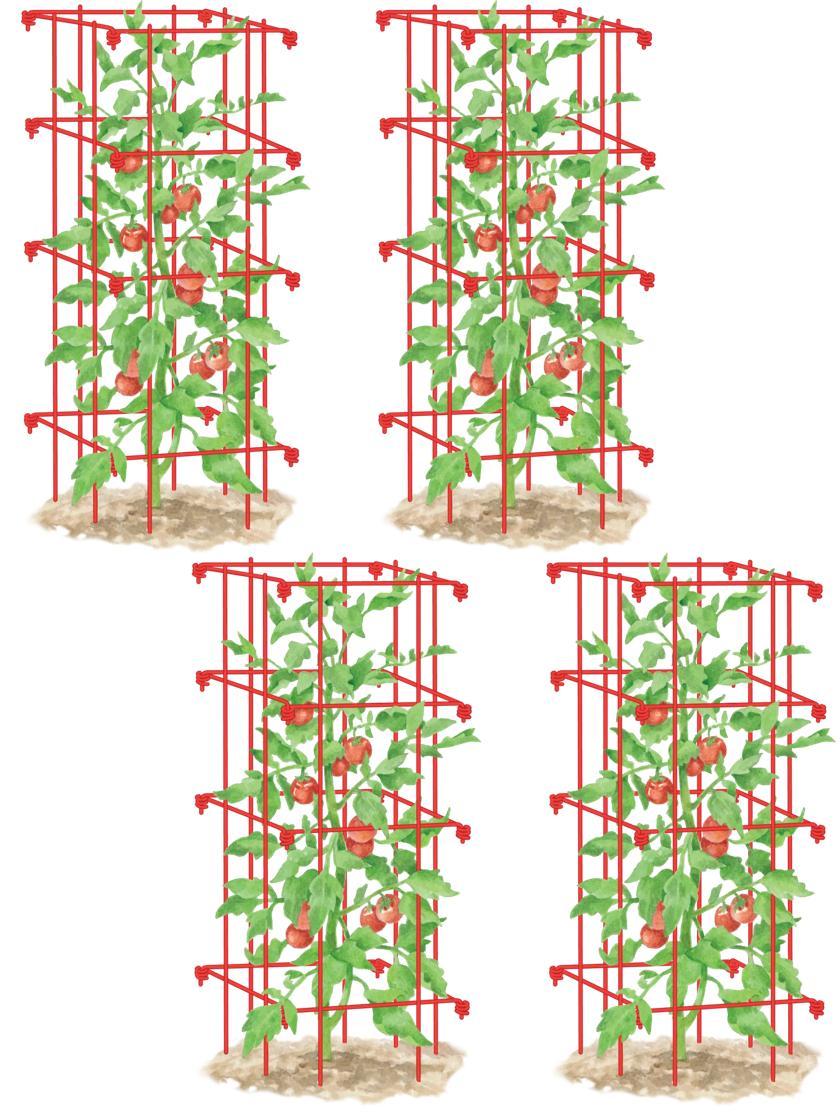 Vegetable Supports & Trellises |   Tomato Cages, Set of 4 GARDEN SUPPLIES Vegetable Supports & Trellises