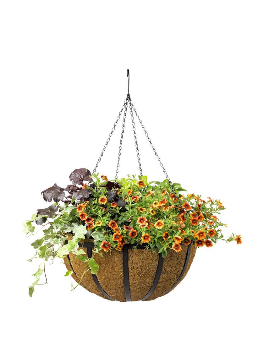 Hanging Planters |   AquaSav™ Oxford Hanging Basket, 18″ PLANTERS & RAISED BEDS Hanging Planters