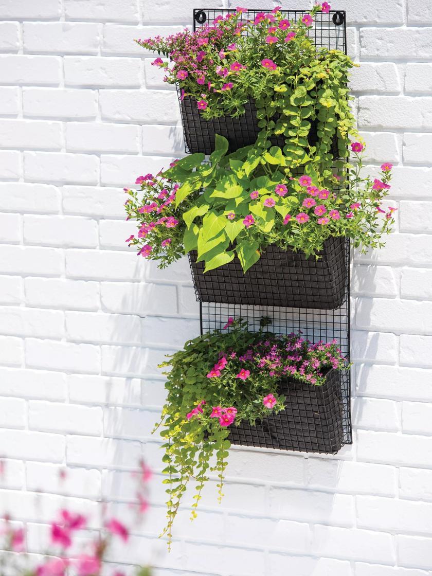 Hanging Planters |   Wire Wall Pockets Vertical Gardens Hanging Planters Hanging Planters