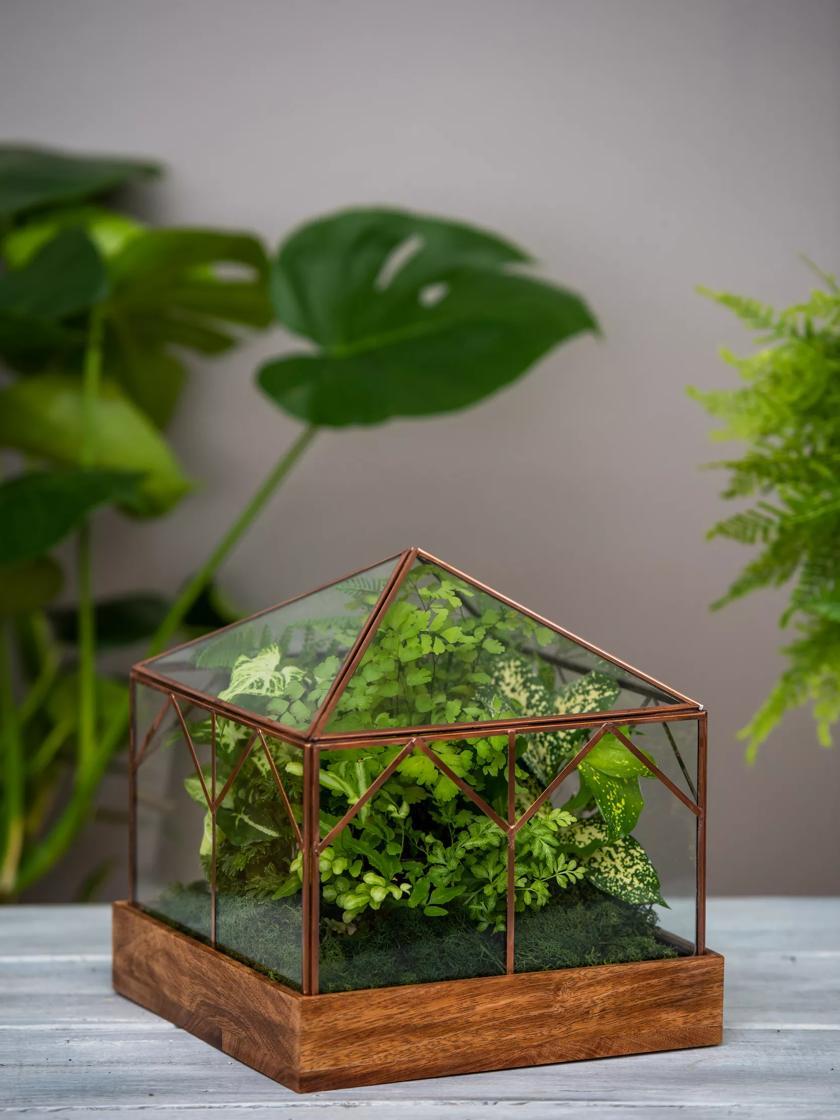 Indoor Pots & Planters |   Art Decco Copper and Glass Terrariums Indoor Pots & Planters Indoor Pots & Planters