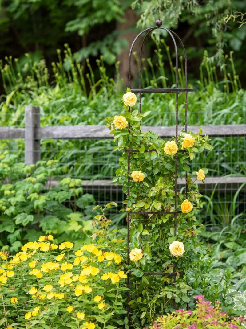 Flower Supports & Trellises |   Jardin Round Obelisk, 7′ Flower Supports & Trellises Flower Supports & Trellises