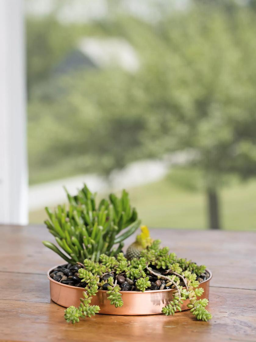 Plant Stand Trays |   Small Round Copper Plant Tray, 10″ Plant Stand Trays Plant Stand Trays