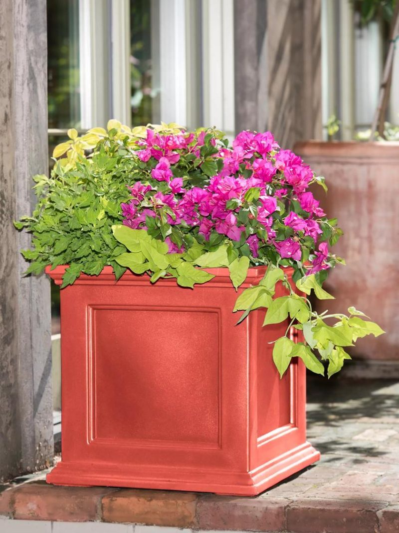 Self-Watering Planters |   Fairfield Square Planter, 20″ x 20″ PLANTERS & RAISED BEDS Self-Watering Planters