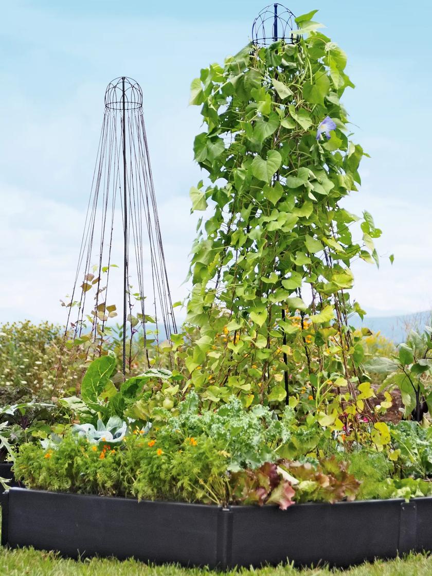 Vegetable Supports & Trellises |   Garden Maypole Plant Support GARDEN SUPPLIES Vegetable Supports & Trellises